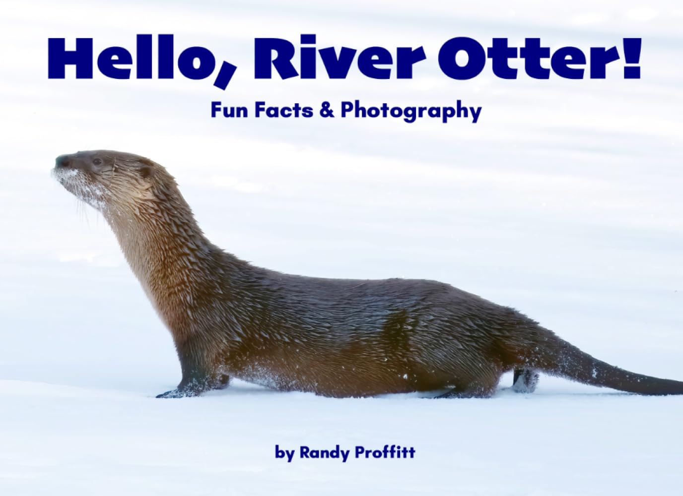 Hello, River Otter! (Hello, Wildlife!)