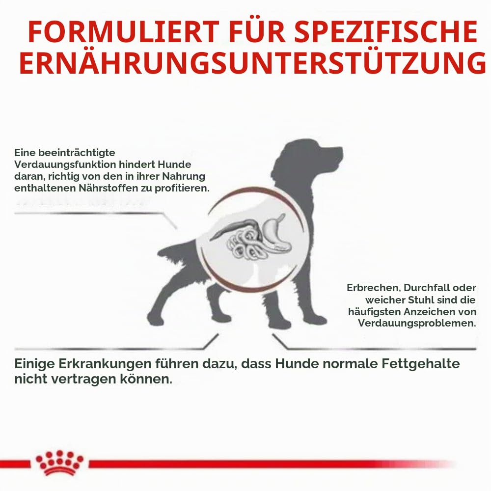 Royal Canin Veterinary Gastrointestinal Low Fat | 6 kg | Diät-Alleinfuttermittel für ausgewachsene Hunde | Trockenfutter zur Unterstützung der Verdauung | Niedriger Fettgehalt