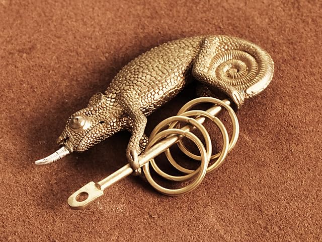 Amazon.co.jp: 真鍮 キーホルダー（カメレオン）爬虫類 トカゲ とかげ