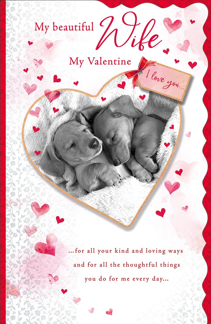 Valentine's Day Card, For My Beautiful Wife Puppy Hug - 12 x 8 inches - Regal Publishing