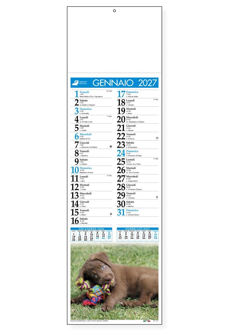 100 Calendari Da Parete 2027 - Calendario trimestrale cani e gatti - cm 14x47 - personalizzati con logo - Personalizzabile - Collezione 2027-100 pezzi