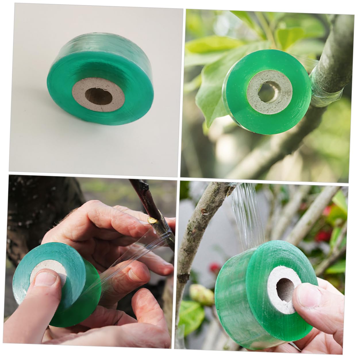 Supvox 16rollen Dehnbares Grafting Tape Für Pflanzenreparatur Transparent Und Selbstklebend Geeignet Für Obstbäume Langlebig Und Vielseitig