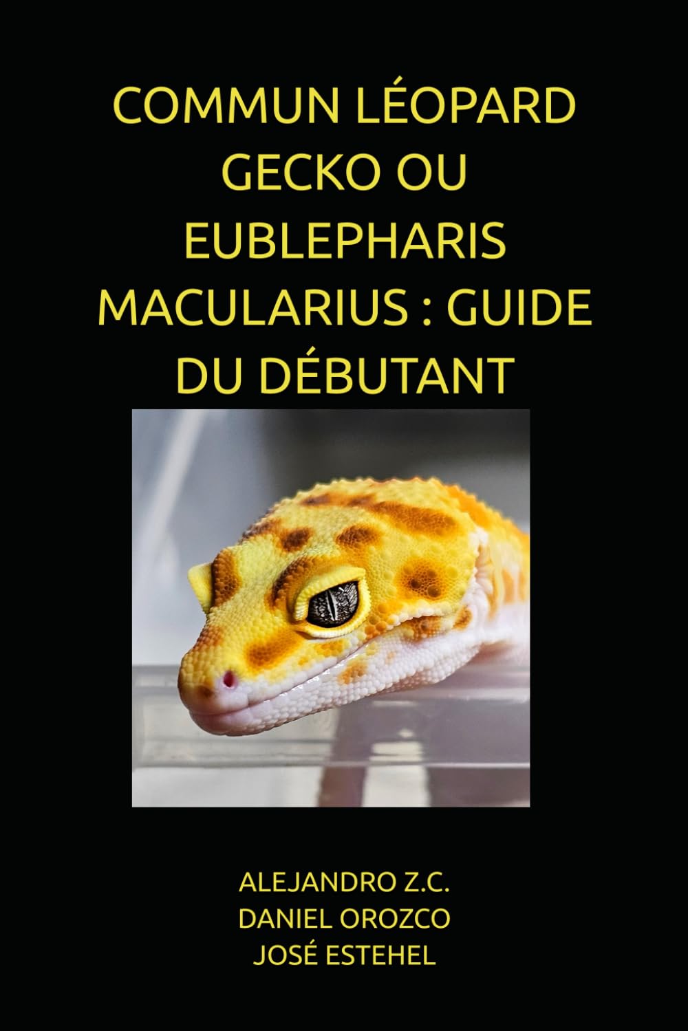 COMMUN LÉOPARD GECKO OU EUBLEPHARIS MACULARIUS : GUIDE DU DÉBUTANT