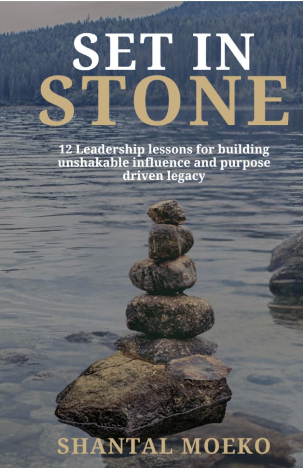 Set in Stone: 12 Leadership lessons for building unshakable influence and purpose driven legacy.