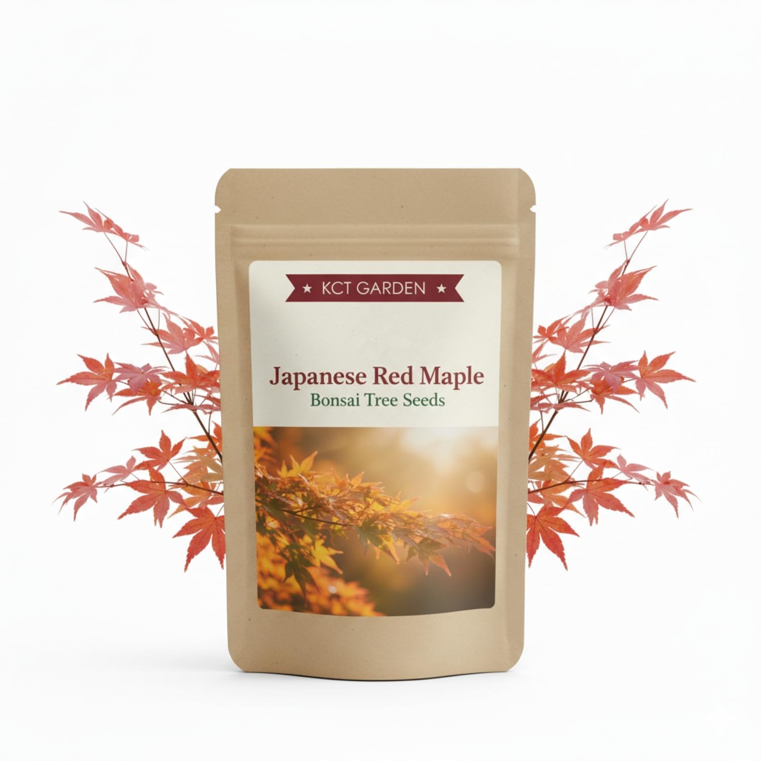 Amazon.com : Japanese Red Maple Seeds, Bonsai Seeds, Pack of 30