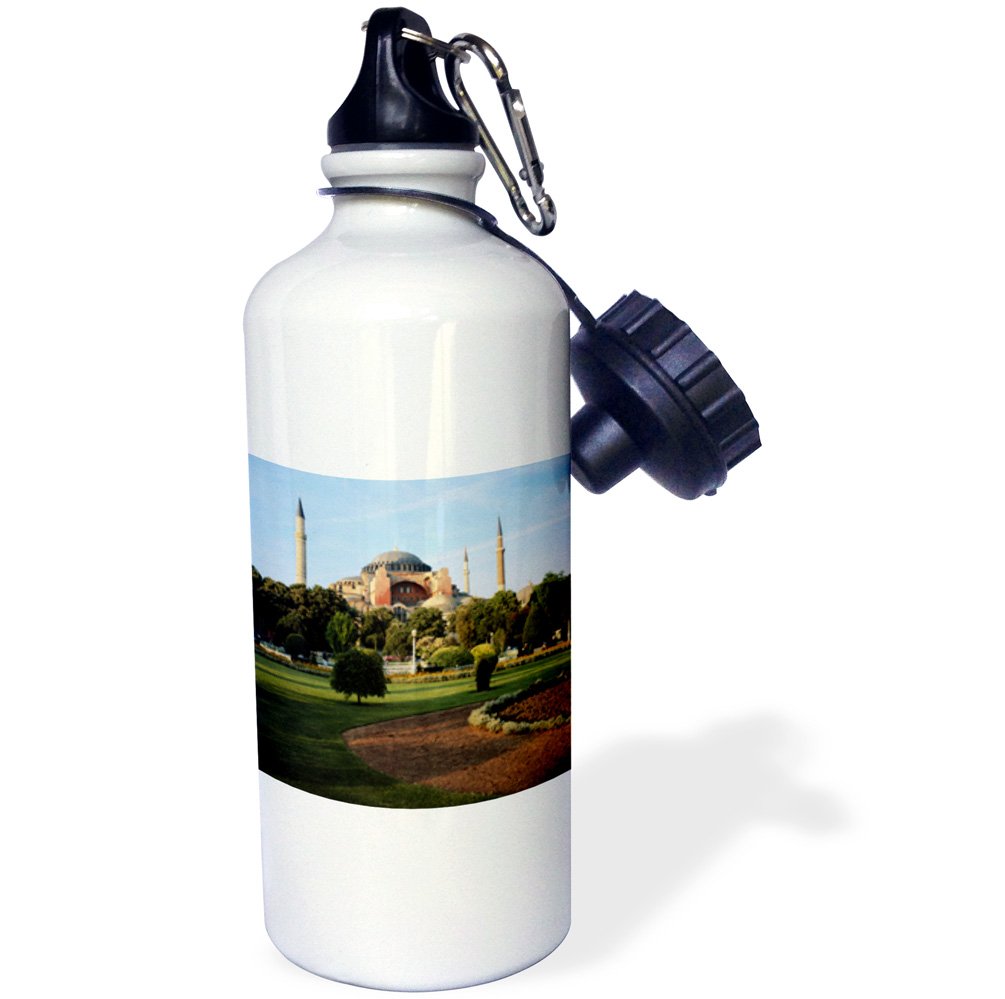 3dRose Blue Columbine Aquilegia Caerulea Near Telluride Colorado Sports Water Bottle 21 oz Multicolor