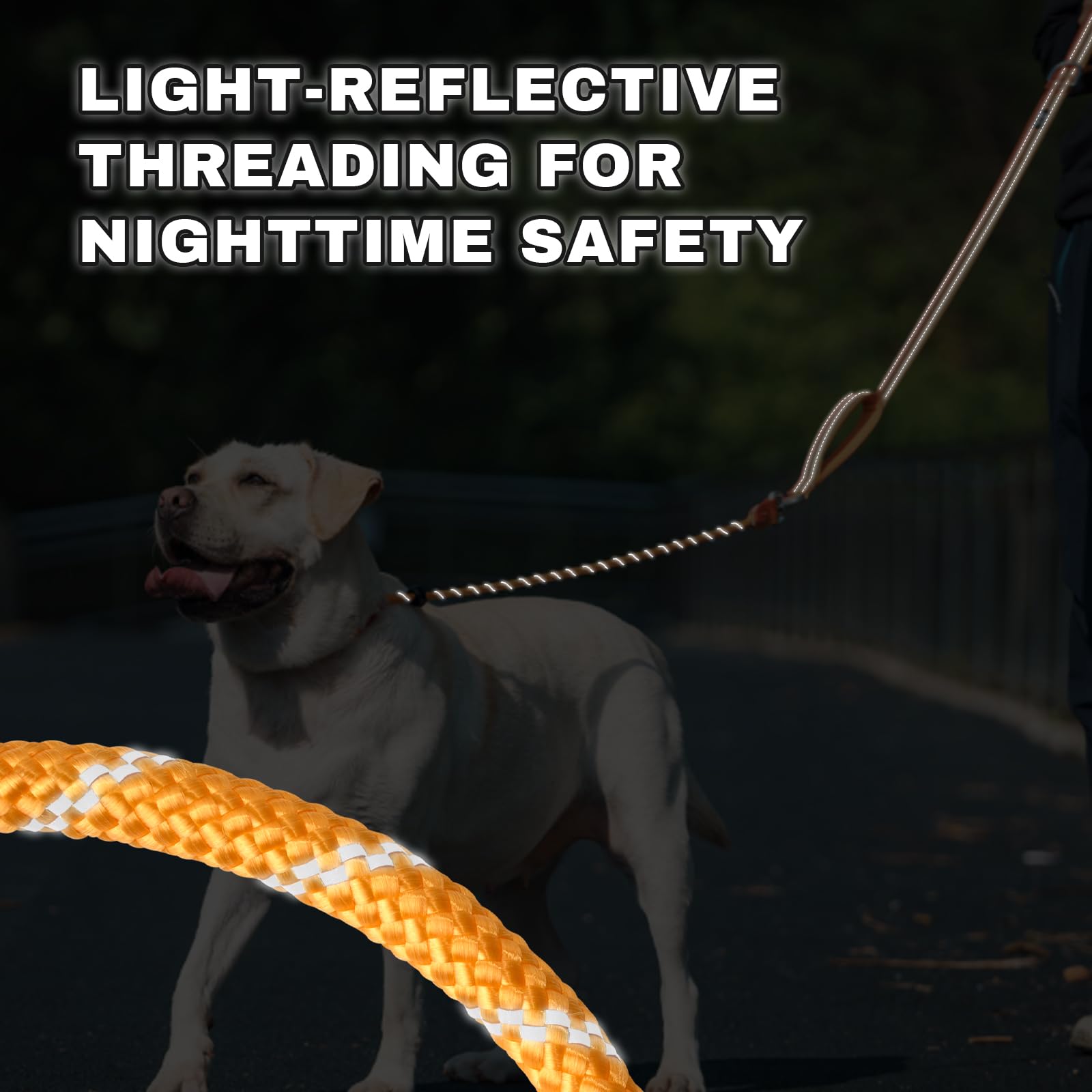 Arblina Guinzaglio per Cani, Guinzaglio Retriever per Cani con Doppie Maniglie, Guinzaglio Cane con Hi-Vis Retro Riflettente, Guinzaglio a Strozzo per Cani con Fermo di Trazione