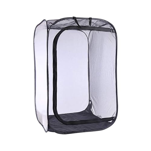 Insectes Habitat Cage, Cage à Papillon pour L'habitat Reproduction, en
