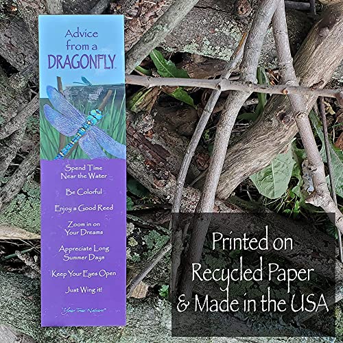 Your True Nature Advice From Nature 3 Bookmark Birds Set, Laminated With Glossy Finish, Printed On Recycled Paper - Cardinal, Chickadee, Bluebird (Ambm-Birds) #TOP3