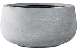 Kante Round Concrete Planter: An Urban Oasis for Indoor Gardens