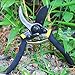 Hand Pruner Professional Pruning Shears Heavy Duty Garden Shears, Clippers for The Garden,Tree Trimmers (Black)