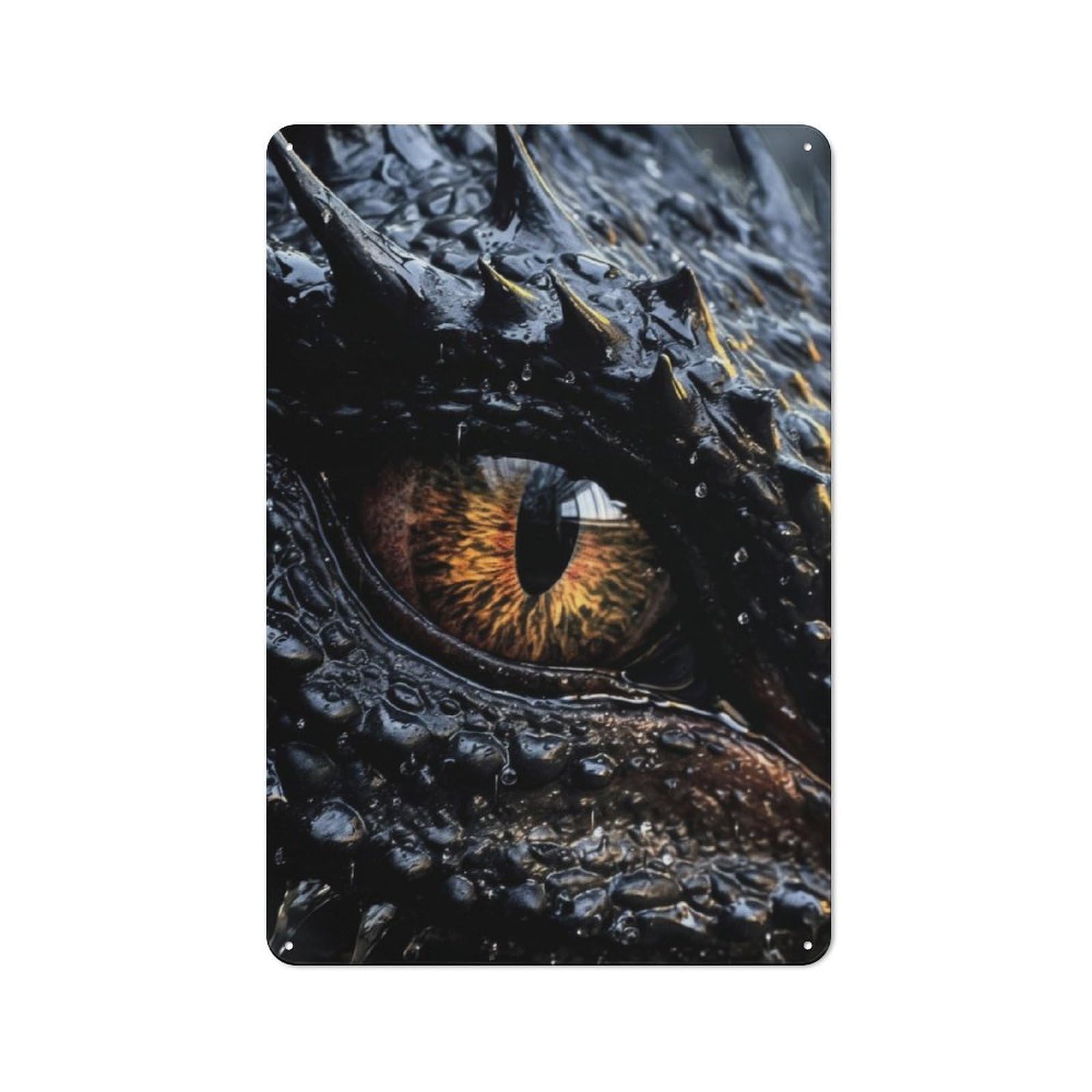 Junmoney Dragon Eye 30X20cm Retro Metal Sign With For Café Or Restaurant, For Collectors Decorating Cafés And Restaurants