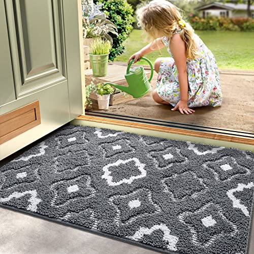 Dexi Front Door Mat, Absorbent Non-Slip Resist Dirt Entry Mat, Washable Low-Profile Doormats For Entryway, Back Door, High Traffic Areas, 36"X24", Grey #TOP2