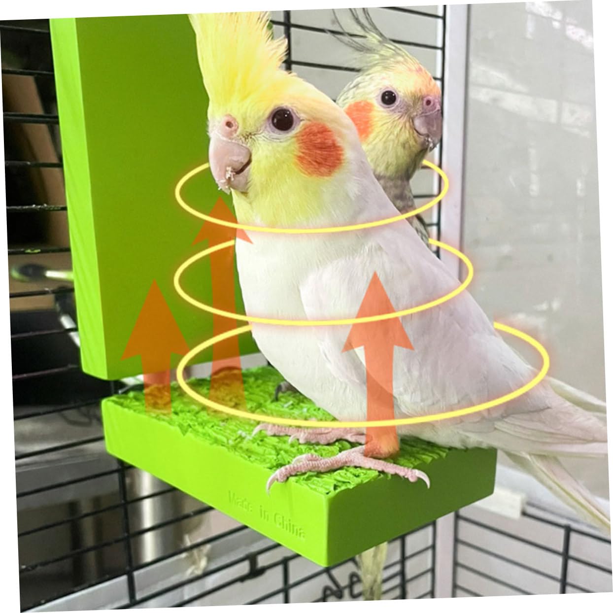 Beheizte Vogel Sitzstange für Papageien Stabile Resin Heizplattform Bruchsicherer Vogelkäfig Zubehör Einfach zu Montieren Geeignet für Wellensittiche und Mittelgroße Vögel Eu