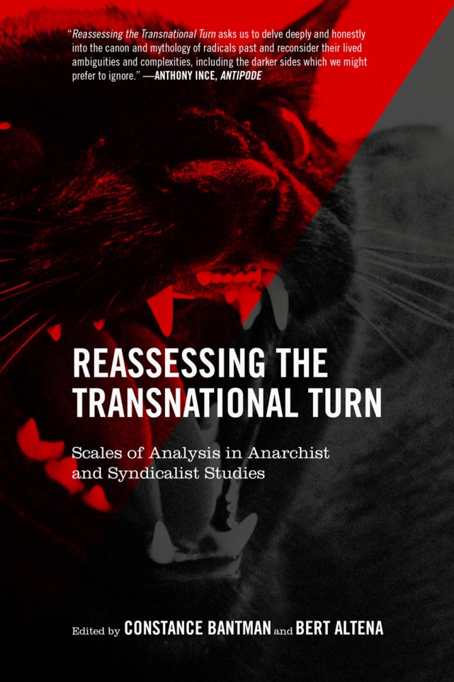 Buy Reassessing the Transnational Turn: Scales of Analysis in Anarchist and Syndicalist Studies — BookShops.in