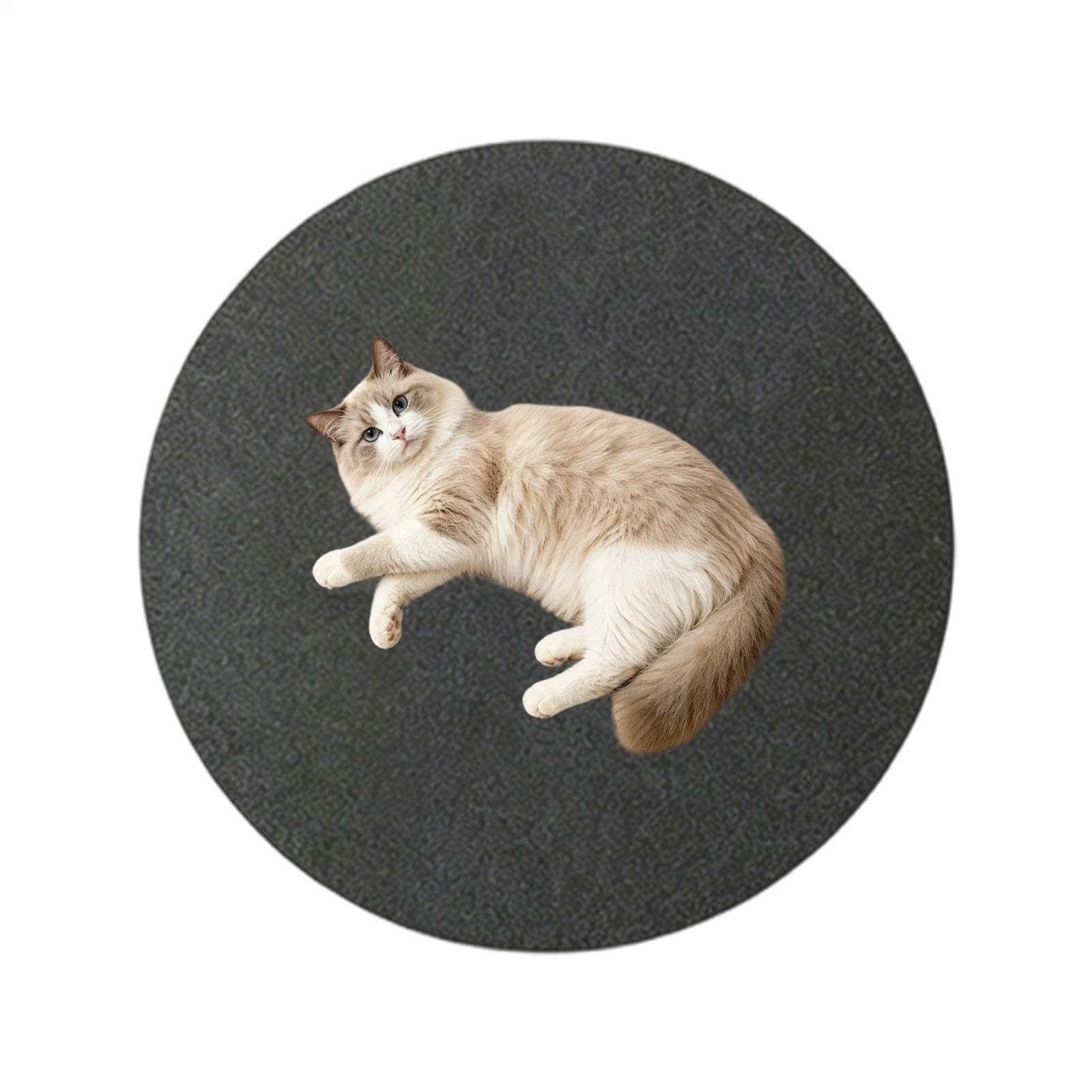 Tapis sous piscine Tapis De En Feutre