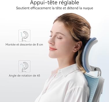 SIHOO M18 Ergonomic Office Chair, Computer Desk Chair with Adjustable Headrest and Lumbar Support, High Back Executive Swivel Chair for Home Office (Morandi Blue)