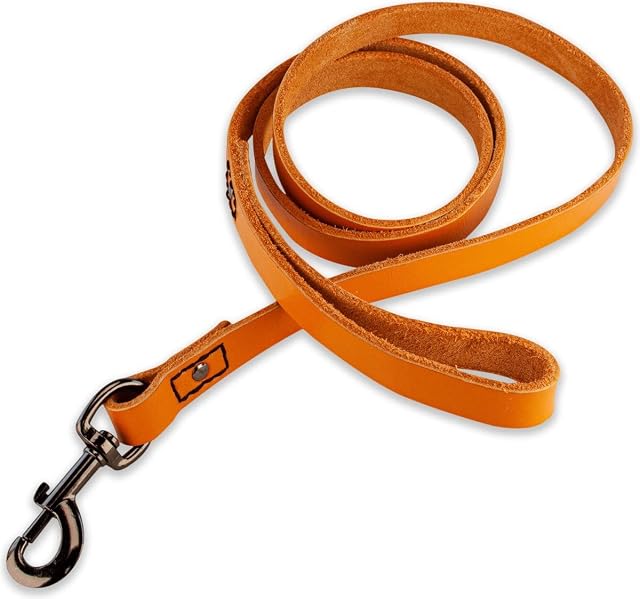 Foto 4 de 6 de Correa de Cuero para Perro - Naranja/Negro - 180 cm