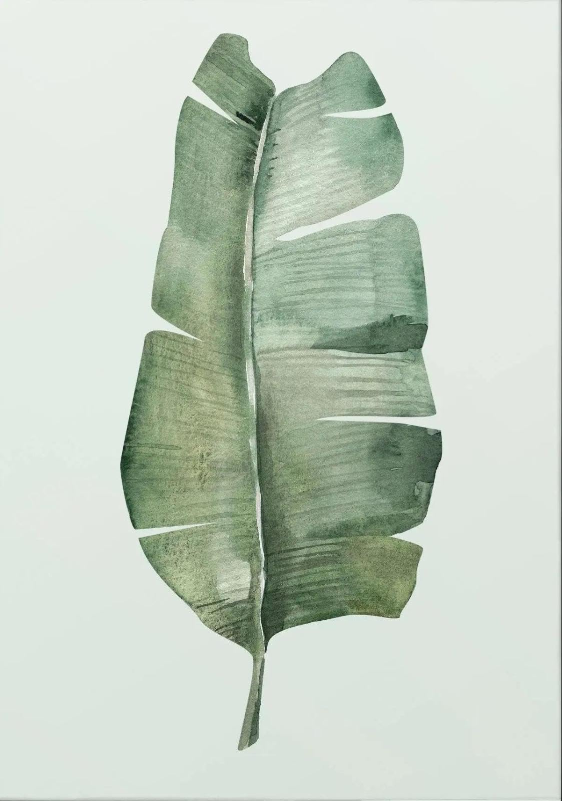 Baibexing Minimalist Tropical Leaf Digital Nature Canvas Painting Posters Prints Wall Art For Living Room Home Decor A2 30X40Cm Unframed