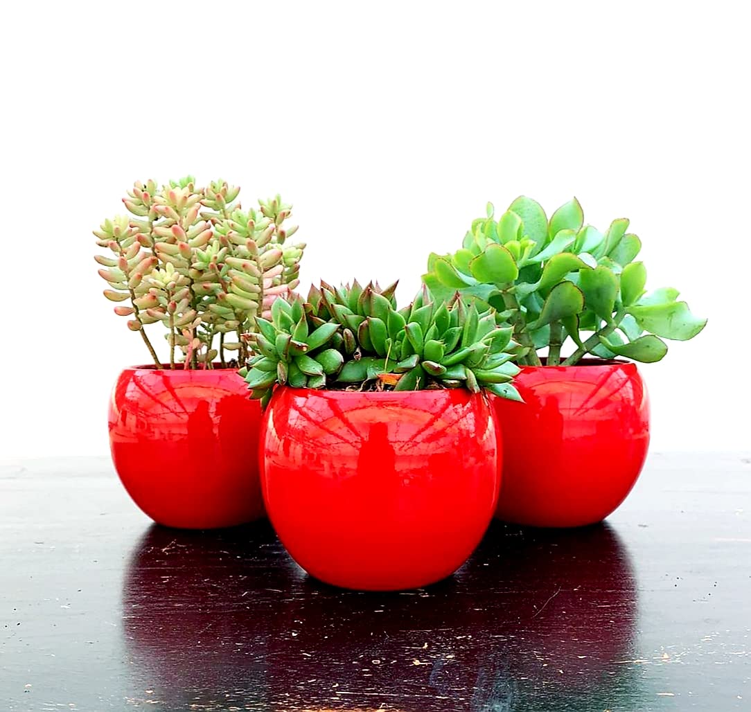WERNS® | Vaso Printemps – Vaso in ceramica giallo con fiori per interni ed esterni