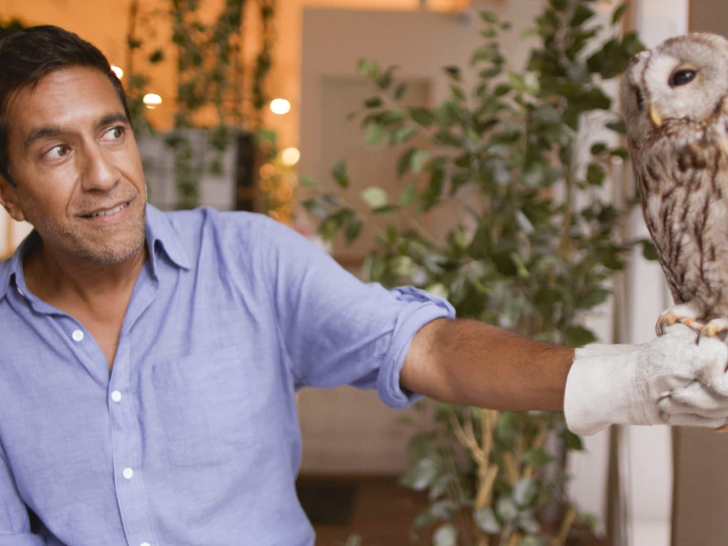 Watch Chasing Life With Dr. Sanjay Gupta - Season 1 | Prime Video