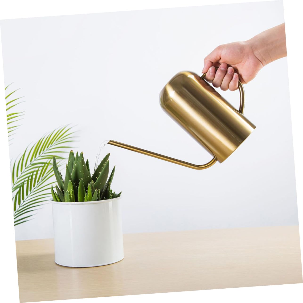 Regadera de Acero Inoxidable con Capacidad para Riego de Suculentas y Plantas Jardín y Mango Ergonómico para Fácil Manejo