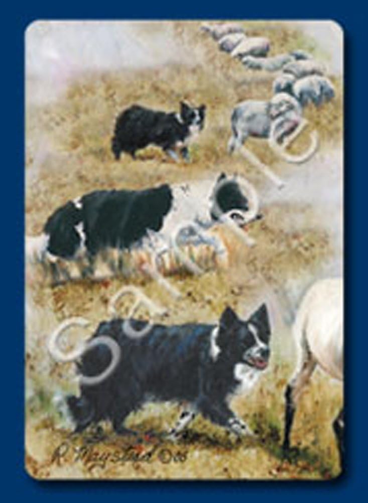 Border Collie Dog Playing Cards Designed by Ruth Maystead (BOC-PC)