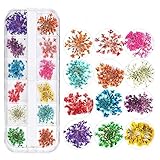 flat back crystal setter punch 3.Classification: Getrocknete Blumen