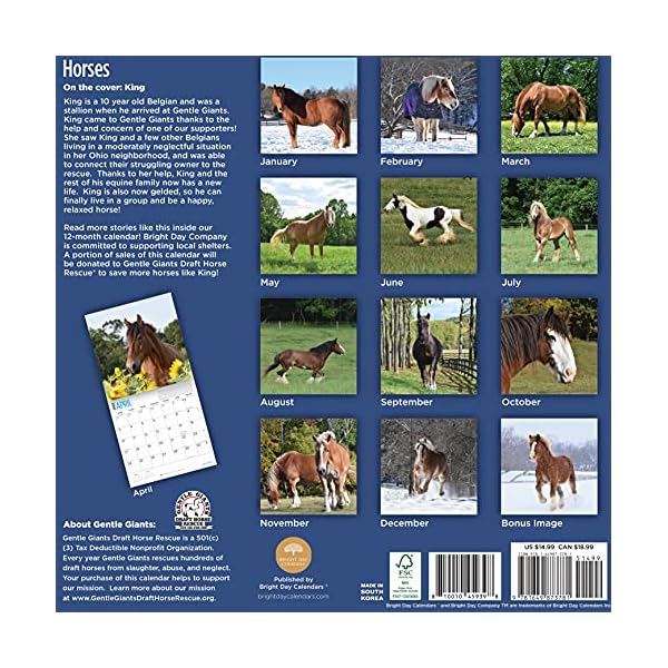 Bright Day 2022 Rettungspferde Wandkalender 30,5 x 30,5 cm, niedliche Bauernhoftiere Kalender für eine Sache – Bild 3