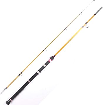 Amazon Entsport Eシリーズ ファントムグラスファイバーボートロッド 2ピース ポータブルミディアムヘビー海水ロッド Entsport ロッド 竿