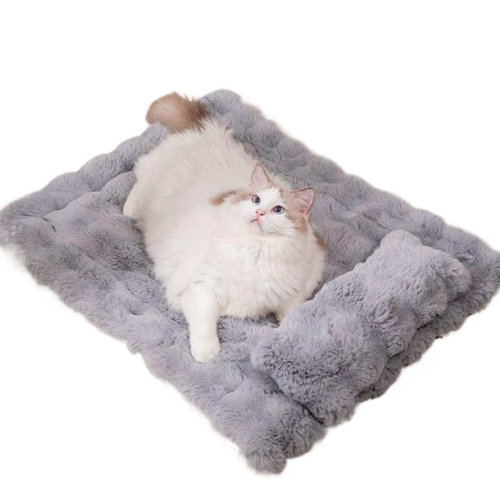 Lit pour chat lavable et douillet avec son oreiller amovible confort