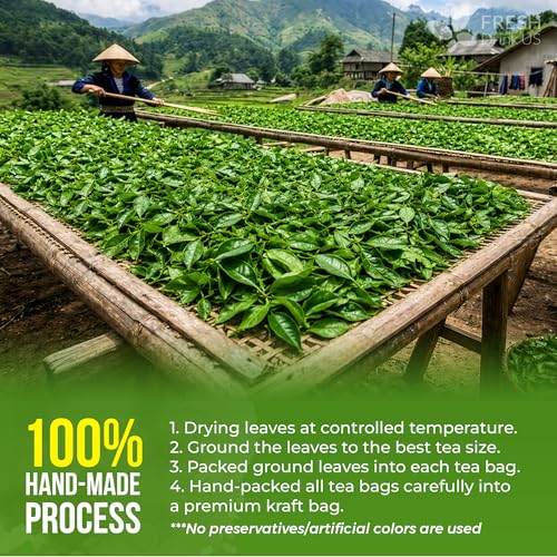 Image of FreshDrinkUS, Premium 175 Green Tea Bags, 100% Natural & Pure from Green Tea Leaves. Loose Leaf Green Tea Herbal Tea. Made with Natural Material Tea Bags. No Sugar, No Gluten, Vegan.