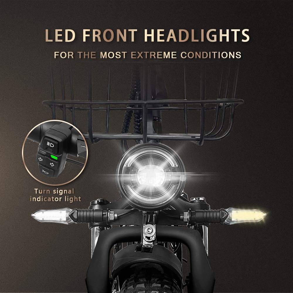 CT20 Pro Folding Electric Bike for Adults, 20" Fat Tire Ebike, 250W Motor, Removable 48V Samsung Battery, Oil Disc Brakes, Front Suspension, 25km/h Assisted Speed