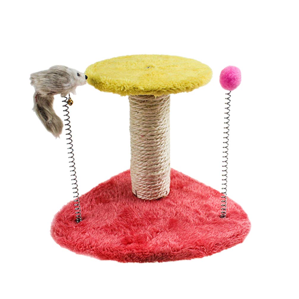 cat play climbing frame