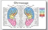Reflexzonenmassagekarte "Ohr": Verpackungseinheit enthält 25 Karten