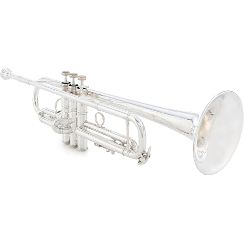 Bach Trombone, silver (LR190S43B)