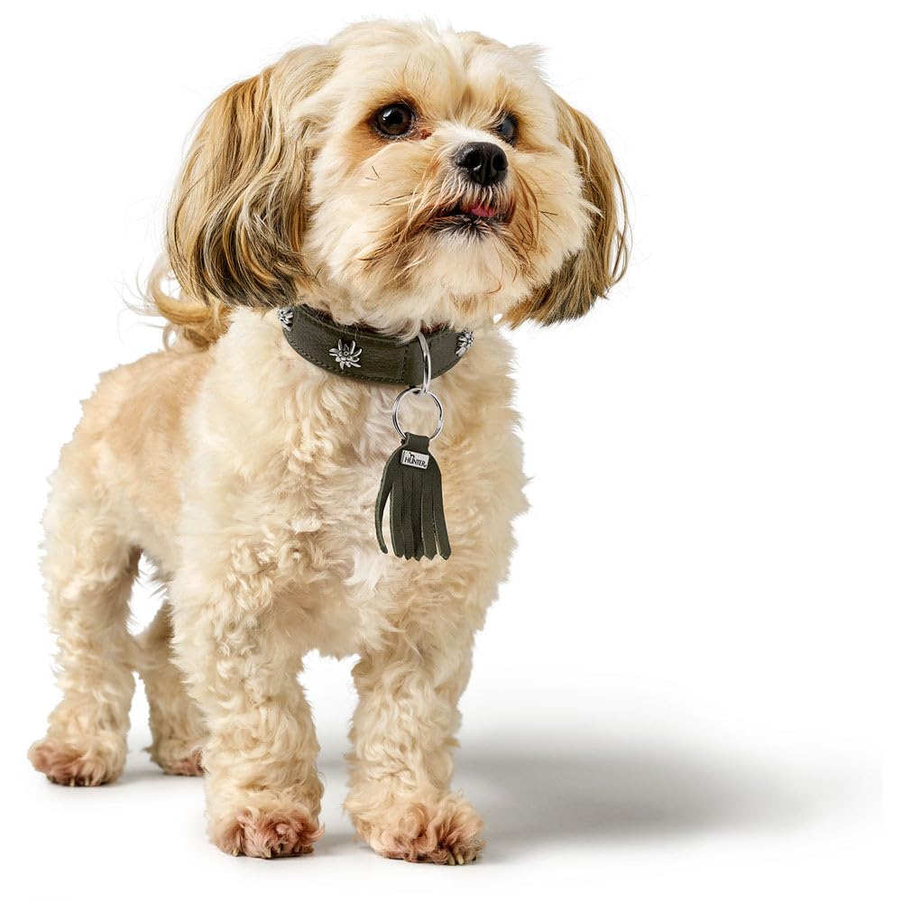 HUNTER Collar de Perro München Color: Verde/coñac, Piel, Detalles Nobles, Suave y Resistente, cuidadoso con la Piel, Lujoso, ecológico, sostenible, Fabricado en Alemania, Talla: 60