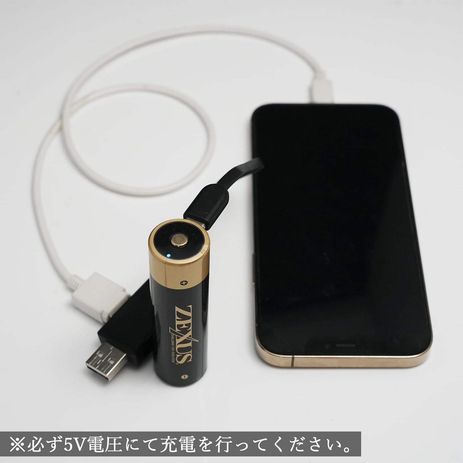 オルゴンザッパー 周波数発信装置 純銀製電極 USB充電池付 ZX1000 