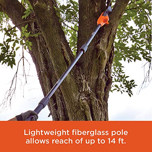 BLACK+DECKER 20V MAX Pole Saw, 8-Inch (LPP120)