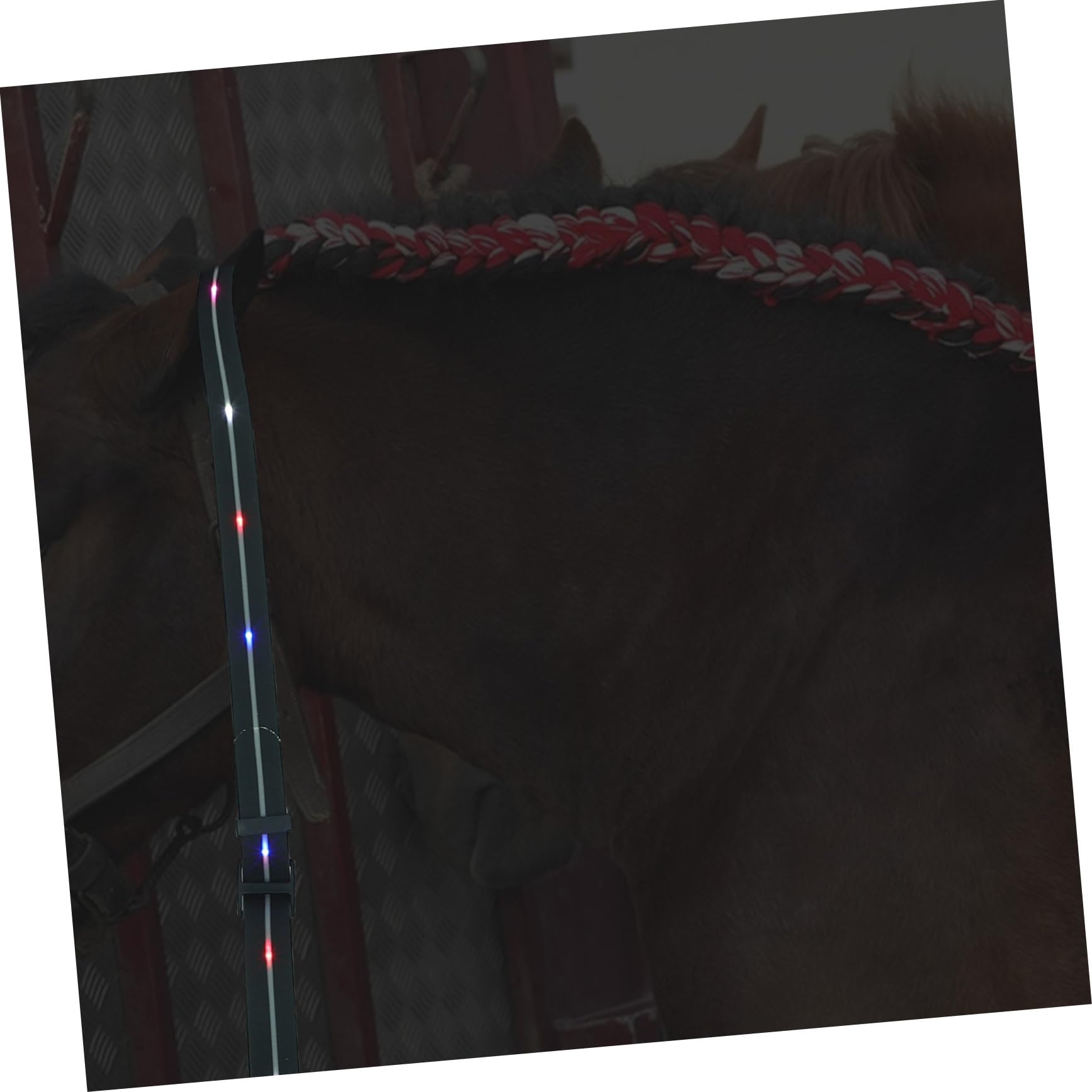 Happyyami Collar Pechera Led Para Caballo Correa Luminosa Cuerda Tracción Accesorio Equitación