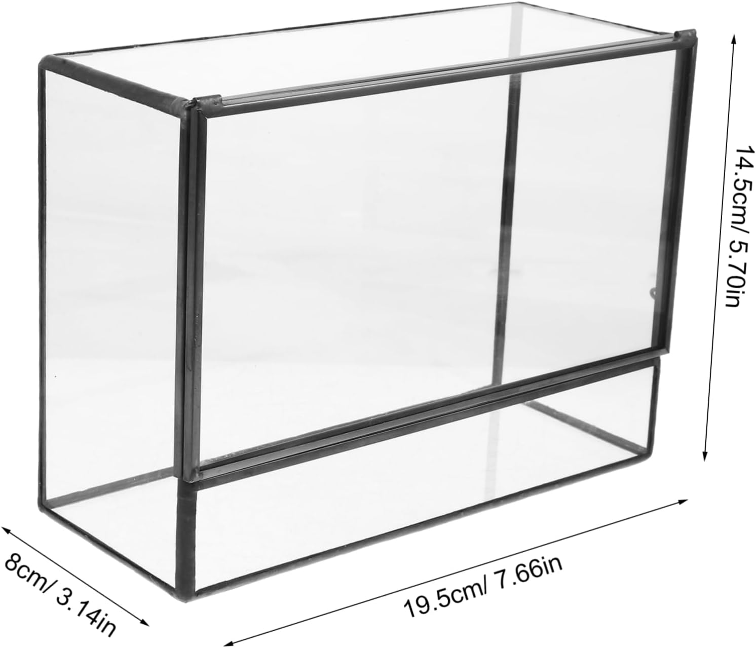 BESPORTBLE Glass Terrarium Planter Miniature Tabletop Ecosystem Holder for Succulents Moss Air Plants Durable Handmade Design