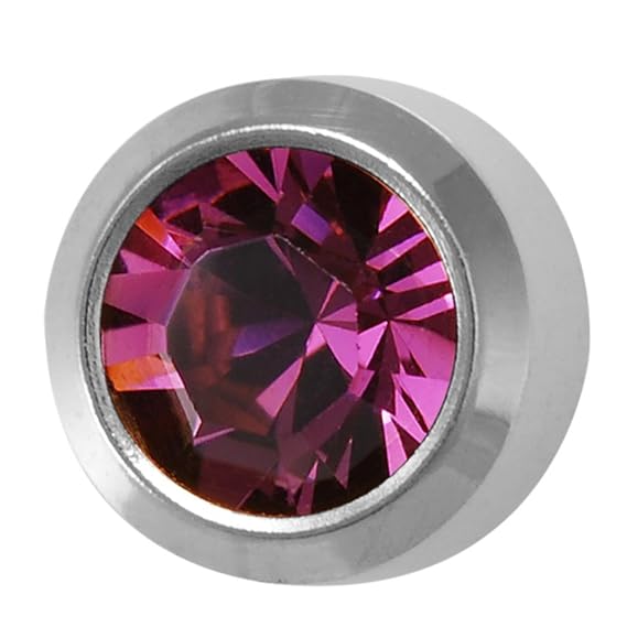 Studex February/Amethyst Mini 2mm Stainless Steel Bezel Setting Ear Piercing Stud Earrings Birthstone