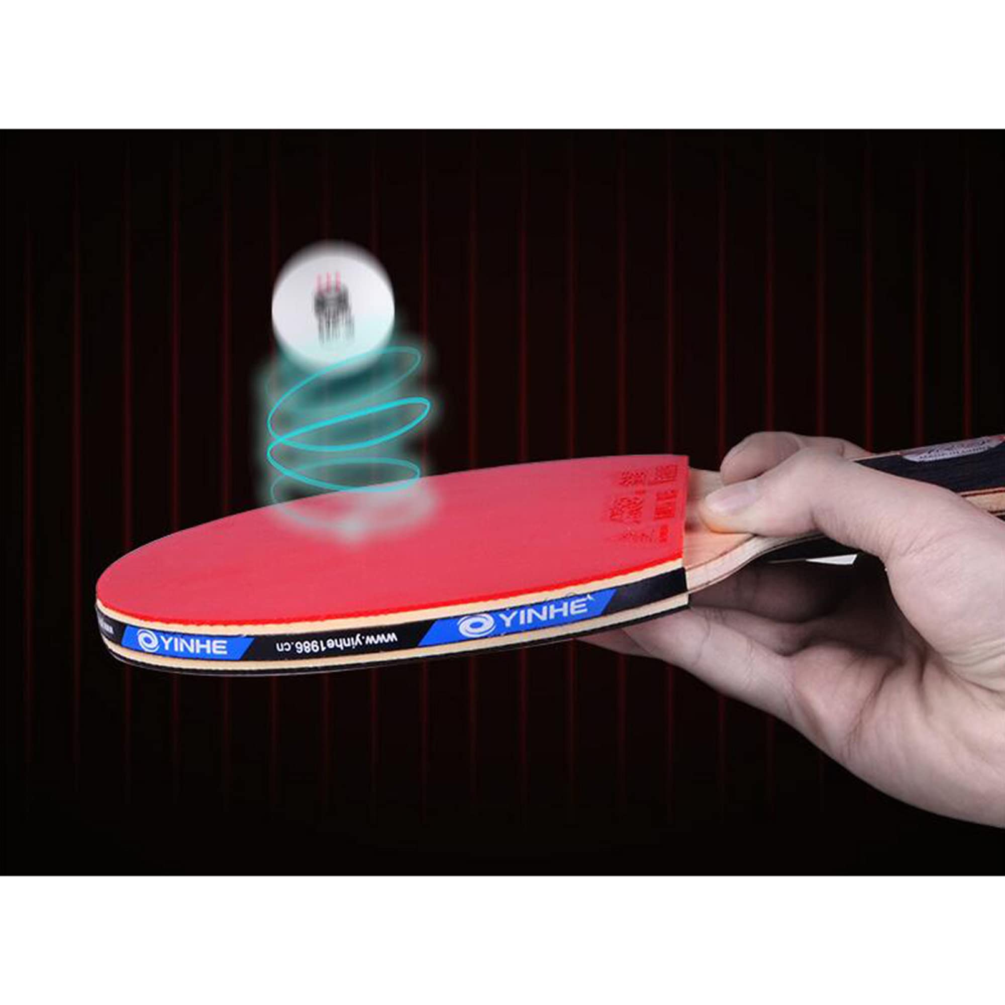 Racchette da tennis da tavolo, Set da ping pong sportivo for principianti for attività familiari, scuola e club sportivi/manico doppio/corto