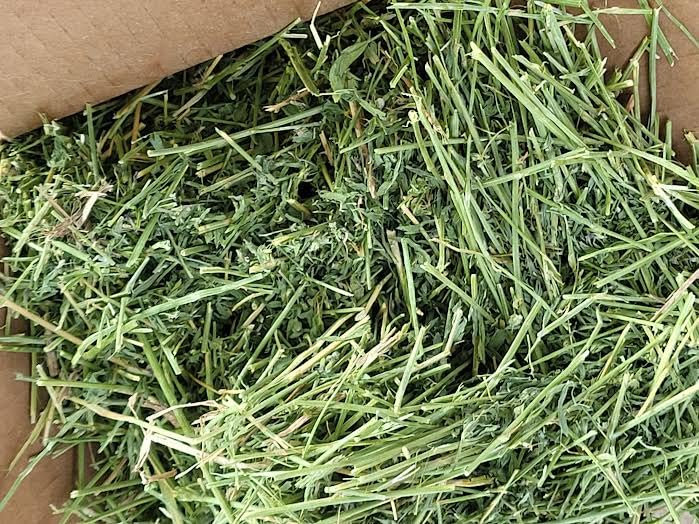 Halby's Hay Premium Alfalfa Flake Hay 2 Pound miniatura 5
