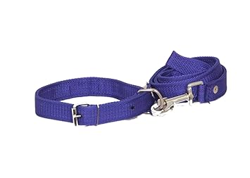 Nawani Standard Collar and Leash Dog Belt, Color As Per Availability