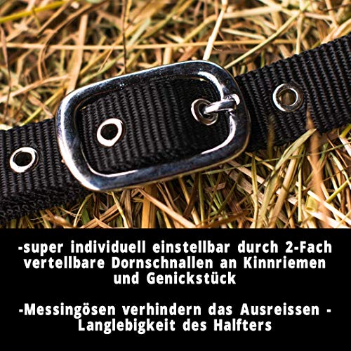 Licol réglable 2 fois Pferdelinis sûr pour cheval Vollblut Cob - 4