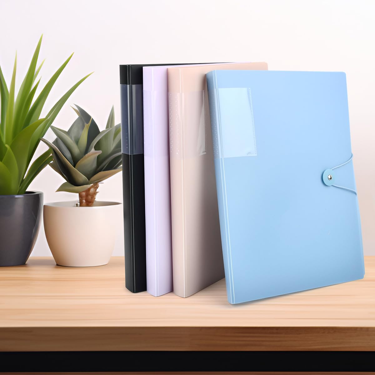 A4 Display Folder,60 Pockets A4 Display Folders, Display Book Folder