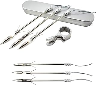 Piaoyu Stainless Steel Slingshot Fishing Arrow Archery Silver, 1 Ring, 1 Box for Fish Shooting, 6 Fish Fishing Arrows, Fis...