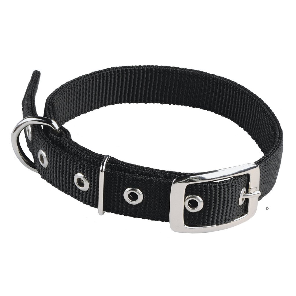 Animal Collar - 1