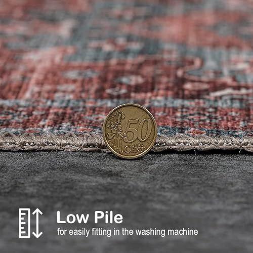Adiva Rugs Machine Washable Area Rug With Non Slip Backing For Living Room, Bedroom, Bathroom, Kitchen, Printed Persian Vintage Home Decor, Floor Decoration Carpet Mat (Terra, 2' X 3') #TOP5